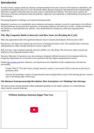 Navigating Regulatory Obstacles in Business Entrepreneurship