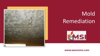 Welcome To Mold Inspection and Remediation Services