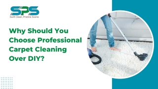 Why Should You Choose Professional Carpet Cleaning Over DIY ?