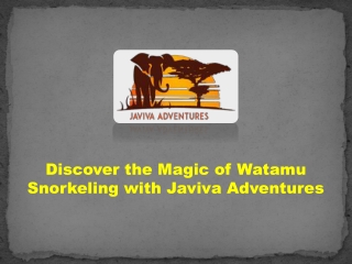 Discover the Magic of Watamu Snorkeling with Javiva Adventures