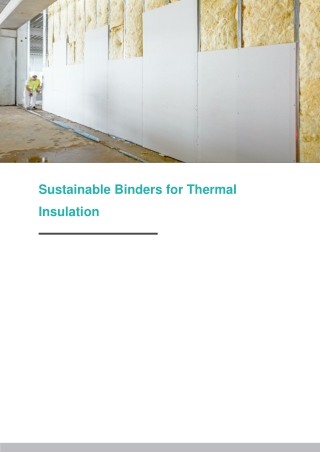 Sustainable Binders for Thermal Insulation