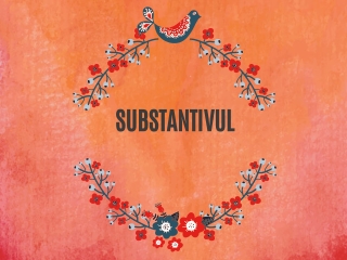 substantivul