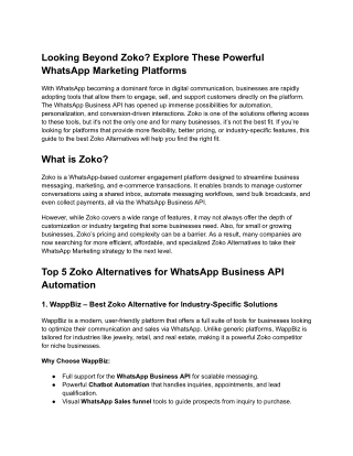 Looking Beyond Zoko_ Explore These Powerful WhatsApp Marketing Platforms