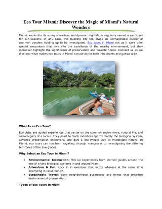 Eco Tour Miami: Discover the Magic of Miami’s Natural Wonders