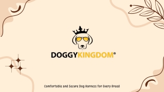 Comfortable and Secure Dog Harness for Every Breed-
