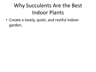 Why Succulents Are the Best Indoor Plants