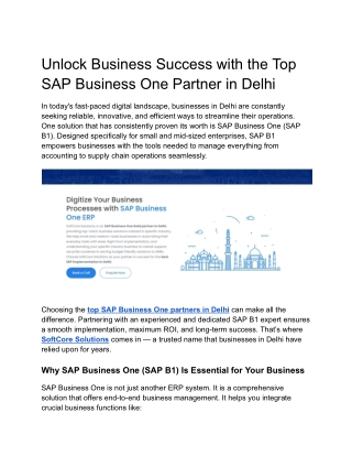 Unlock Business Success with the Top SAP Business One Partner in Delhi