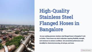High-Quality-Stainless-Steel-Flanged-Hoses-in-Bangalore