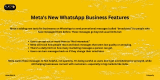 Meta's New WhatsApp Business Features