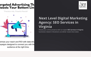 SEO services in Virginia