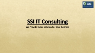 ssi it consulting