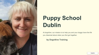 Puppy Training Dublin