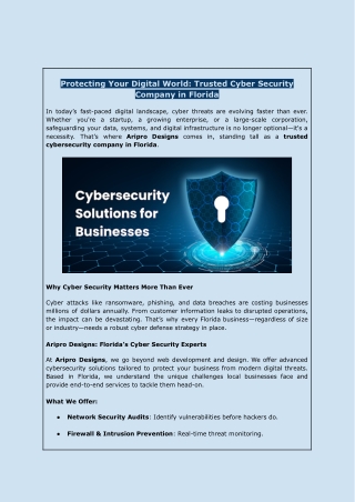 Cyber Security Company Florida | Aripro Designs Protection Services