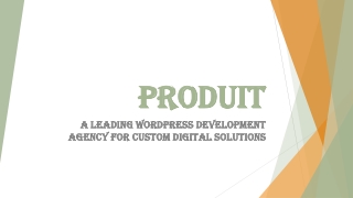 produit produit a leading wordpress development