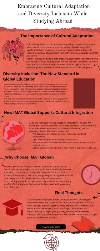 Embracing Cultural Adaptation and Diversity Inclusion While Studying Abroad (1)