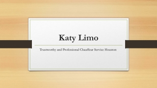 Trustworthy and Professional Chauffeur Service Houston