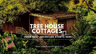 Tree House Cottages  – Luxury Nature Stay in Jaipur