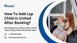 How To Add Lap Child In United After Booking?