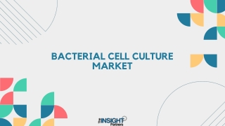 Bacterial Cell Culture Market 2031: Analysis
