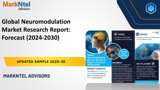 Global Neuromodulation Market Research Report: Forecast (2024-2030)