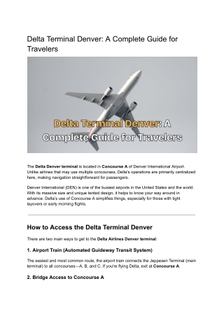 delta terminal denver a complete guide