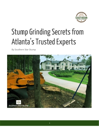 Stump Grinding Secrets from Atlanta’s Trusted Experts