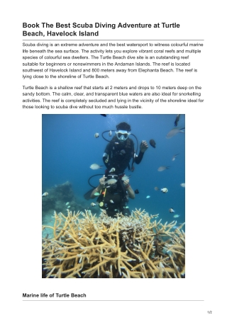 Dive Into Paradise: Explore Best Scuba Diving At Turtle Beach, Havelock Island
