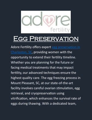Egg Preservation in Charleston, SC: Secure Your Fertility with Leading Experts