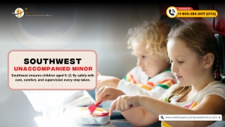 How much is the unaccompanied minor fee for Southwest?