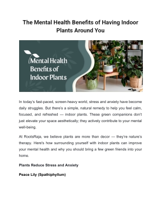 The Mental Health Benefits of Having Indoor Plants Around You