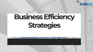 Business Efficiency Strategies - Kolaco Inc