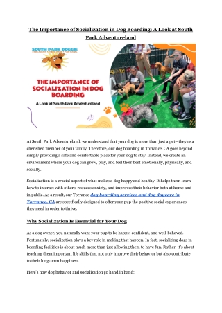 The Importance of Socialization in Dog Boarding_ A Look at South Park Adventureland