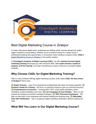 Best Digital Marketing Course in Zirakpur