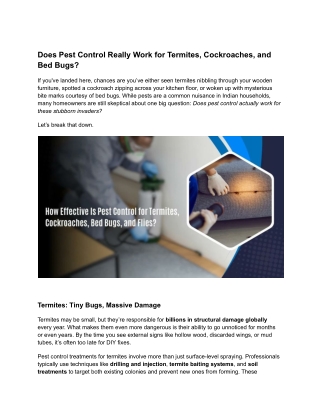 Does Pest Control Really Work for Termites, Cockroaches, and Bed Bugs