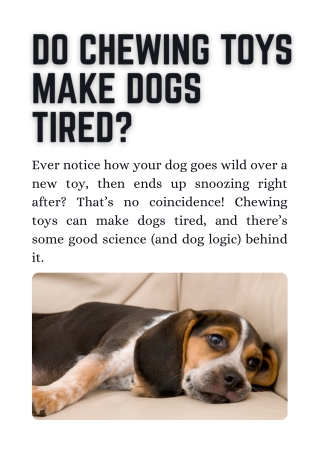 Do Chewing Toys Make Dogs Tired ?