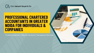 Professional Chartered Accountants in Greater Noida for Individuals & Companies (1)