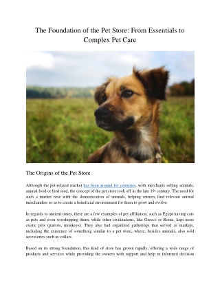 the foundation of the pet store from essentials
