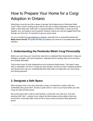 How to Prepare Your Home for a Corgi Adoption in Ontario
