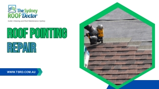 Roof Pointing & Bedding Construction | Roof Maintenance Repair Company