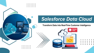 Unlock Customer Insights with Salesforce Data Cloud