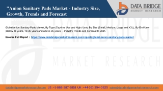 Global Anion Sanitary Pads Market