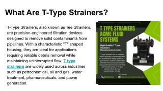 T Type Strainers Manufacturers in India - ACME Fluid Systems
