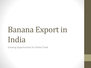 Banana Export in India – Growth, Process & Global Opportunities
