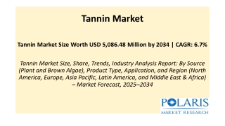 tannin market