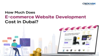 How Much Does E-commerce Website Development Cost in Dubai | Codknox