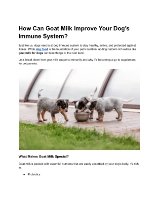 How Can Goat Milk Improve Your Dog’s Immune System?