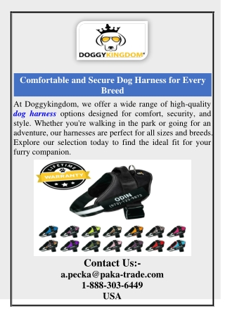 Comfortable and Secure Dog Harness for Every Breed