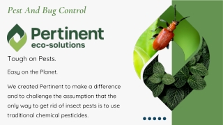 Pest And Bug Control