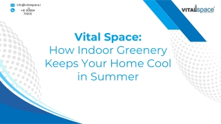 Vital Space How Indoor Greenery Keeps Your Home Cool in Summer