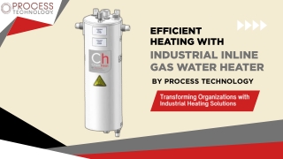 Efficient Heating with Industrial Inline Gas Water Heater By Process Technology